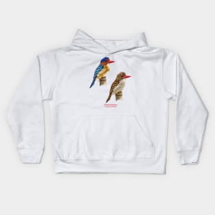 Banded kingfisher | Lacedo pulchella ⚥ Kids Hoodie